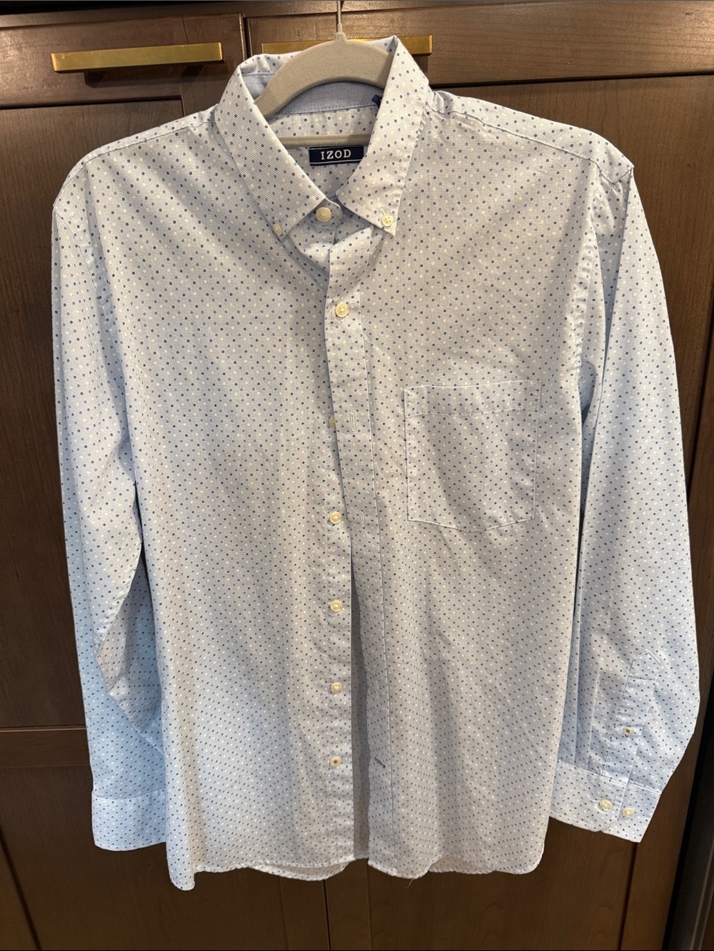 Izod Light Blue Micro Dot Button-Down Shirt